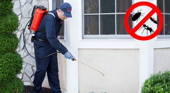 Çandır Dezenfeksiyon böcek ilaçlama ve haşere kontrolü — ilaclama-tr.com